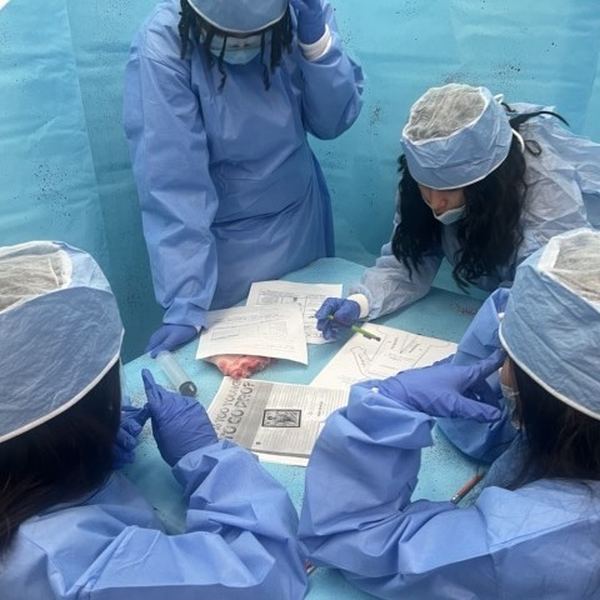Surgery simulation learning